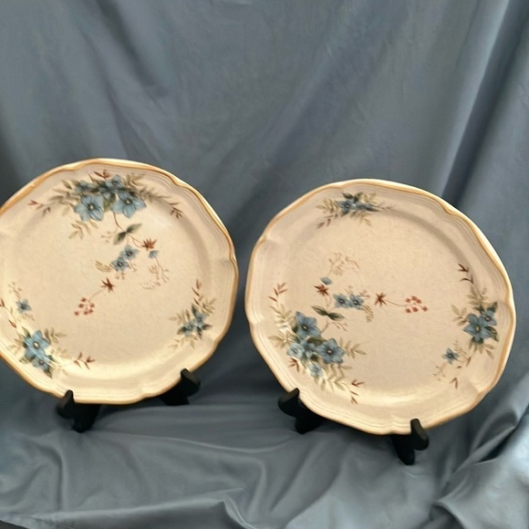 Mikasa: Garden Club DAY DREAMS (EC 461) Dinner Plates- lot of 2- 10 3/4" length - Picture 1 of 15